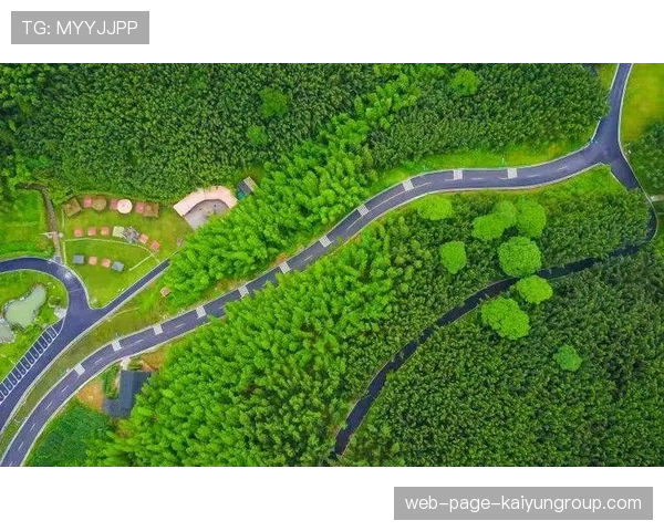 俱乐部探索“青少年+产业链+绿色生态”多元融合发展新路